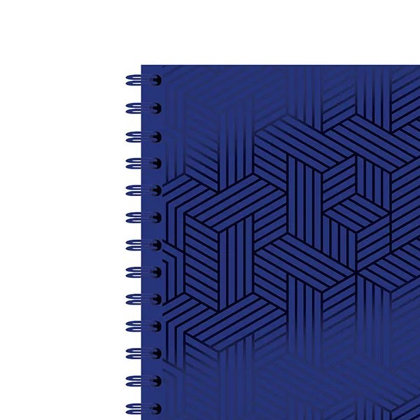 CUADERNO PROF. COLOR NORMA 520008 RAYA ESP. 100H. PZA